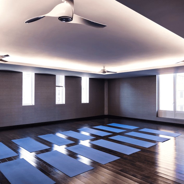 US_Gyms_EquinoxEast43rdStreet_1