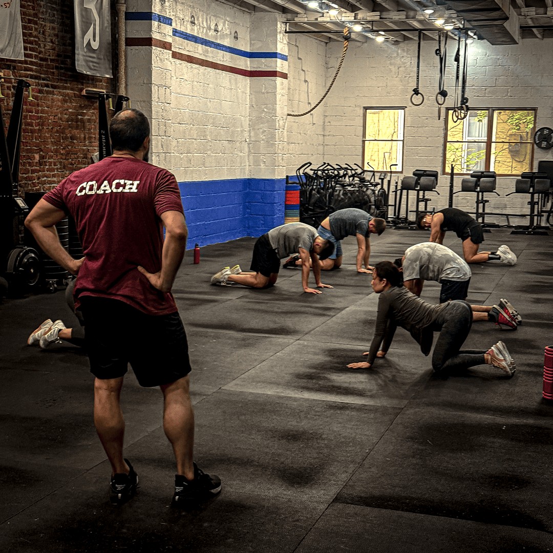 US_Trainers_TheBorough_1
