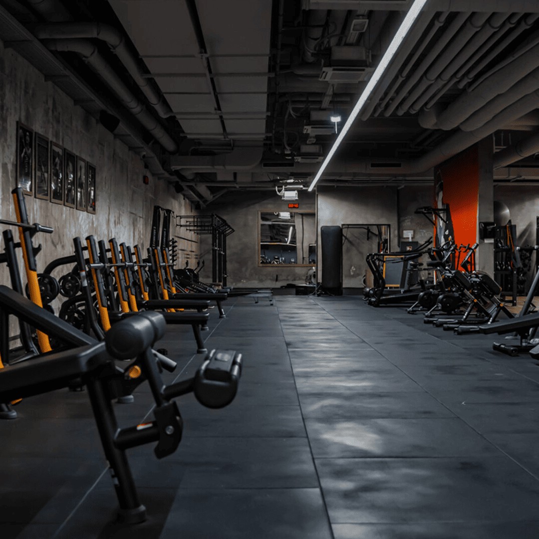 HR_Gyms_TheFitnessBranimir_1