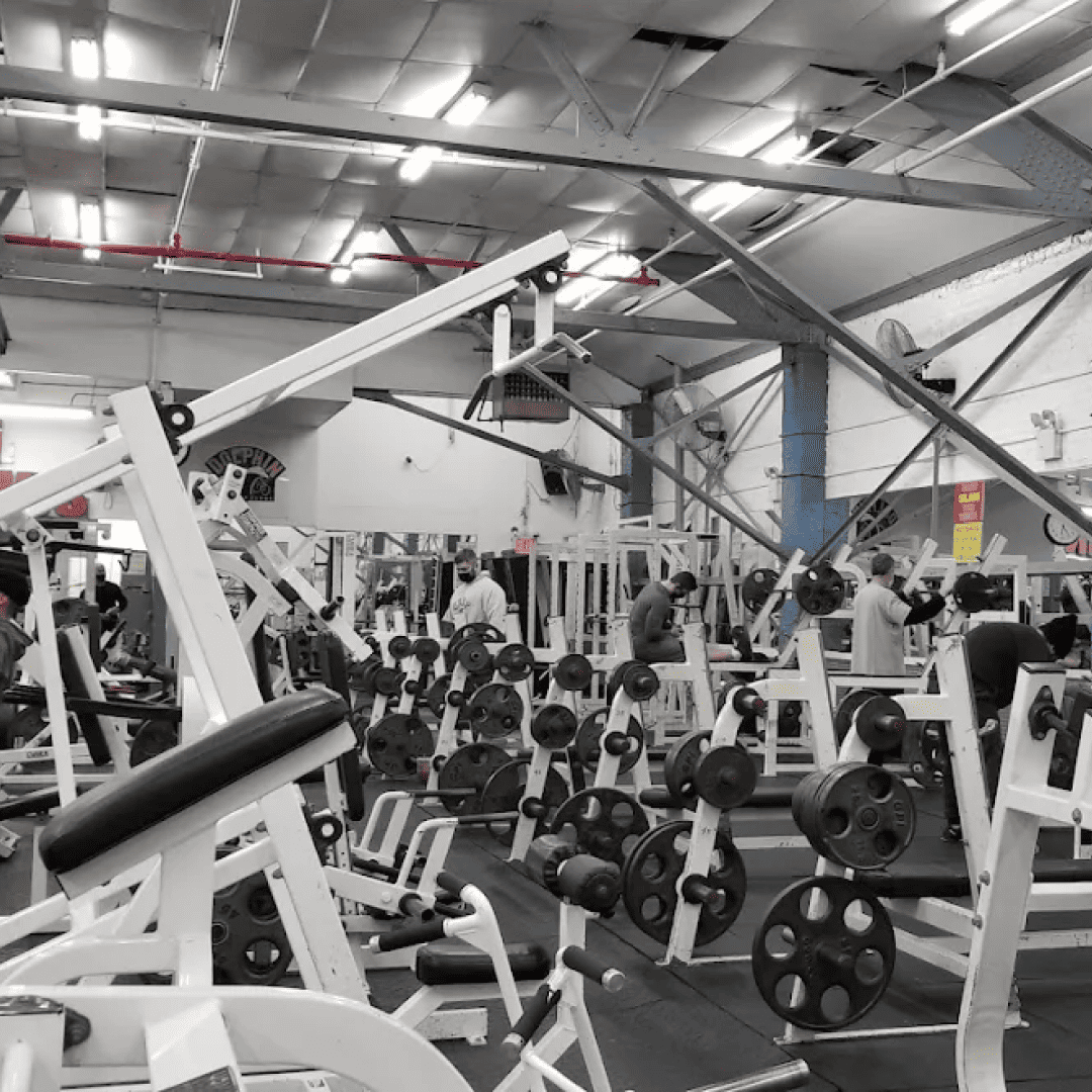 us_Gyms_DolphinFitnessClubs_4