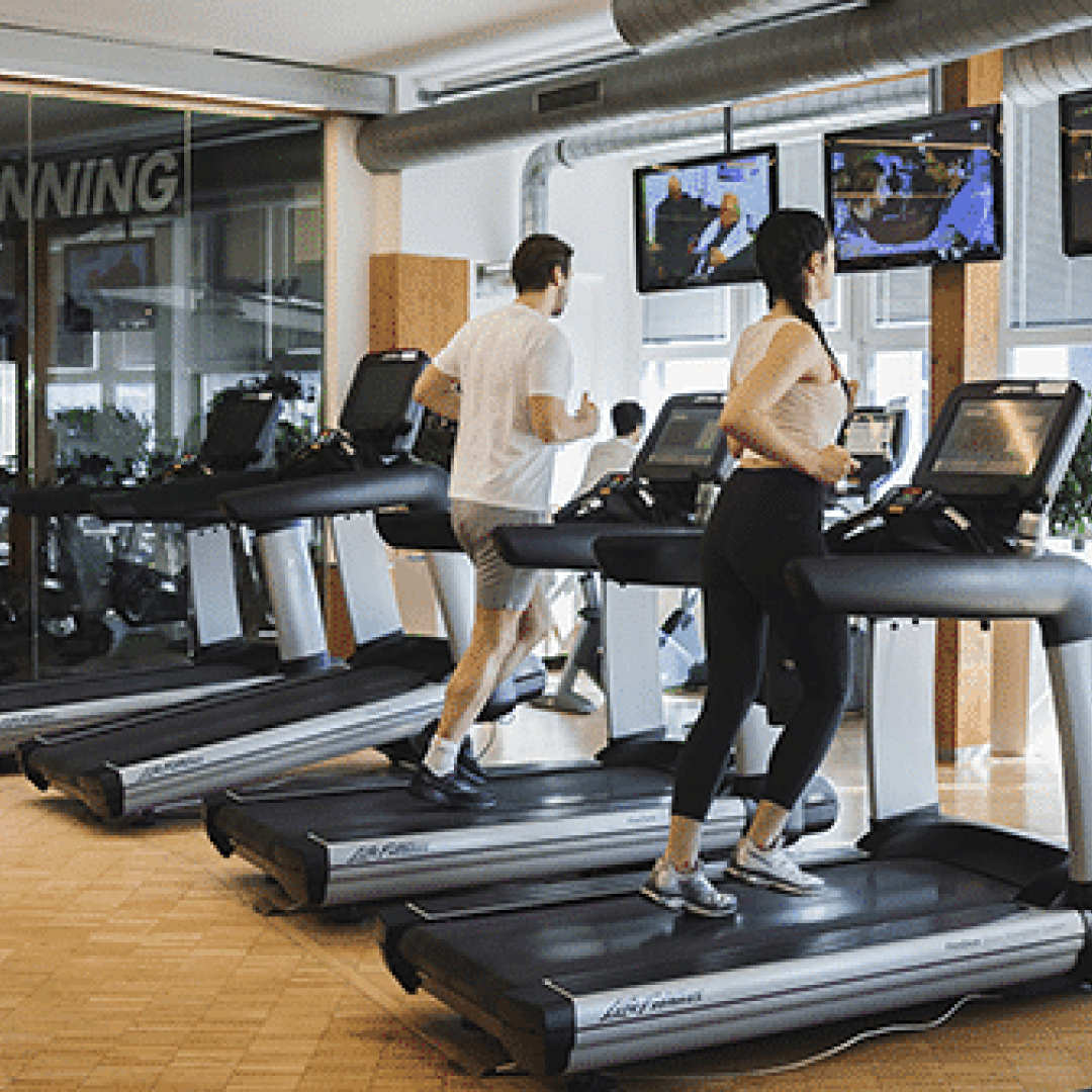 undefined_Gyms_ThermeWienFitness_2
