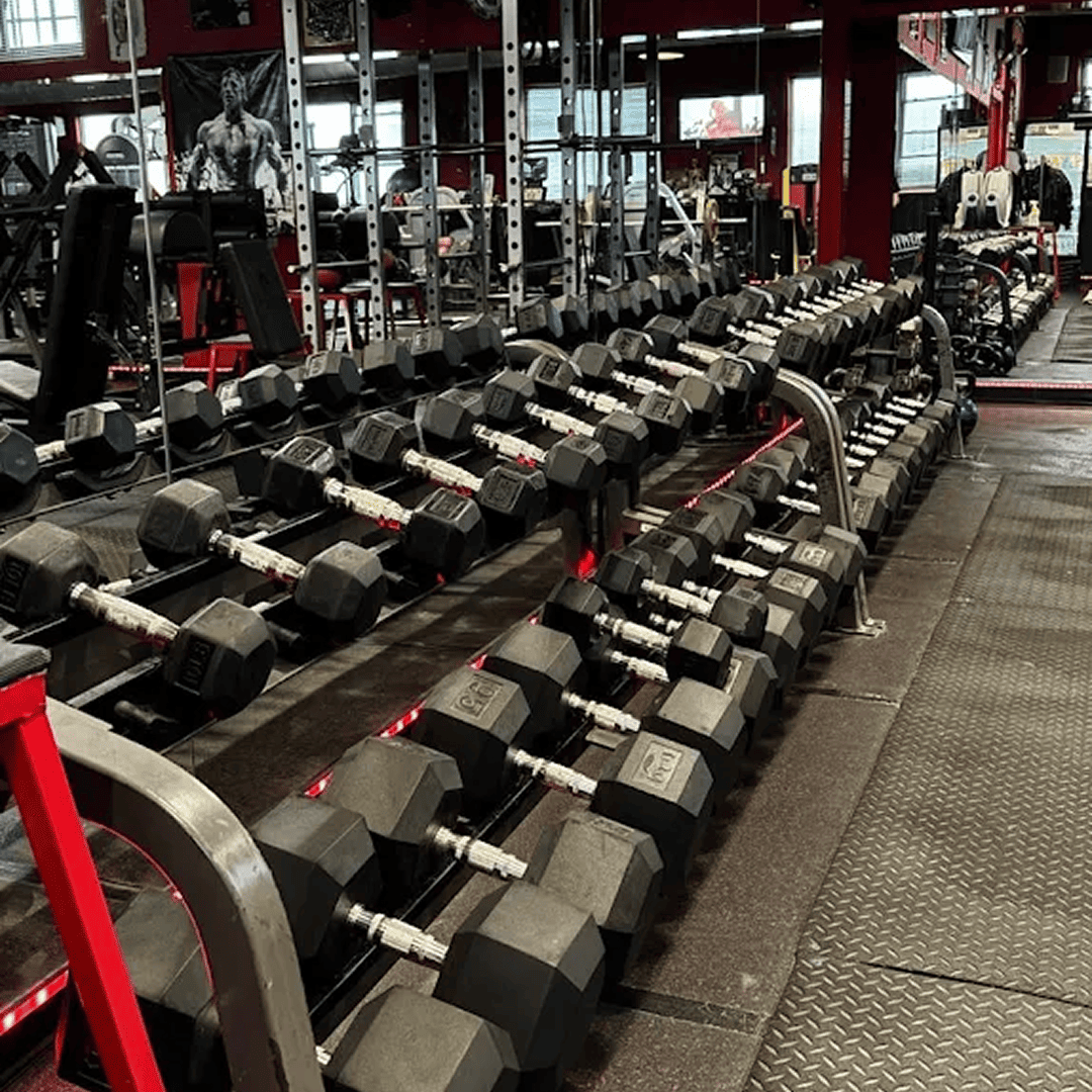 us_Trainers_FitnessGallery_1