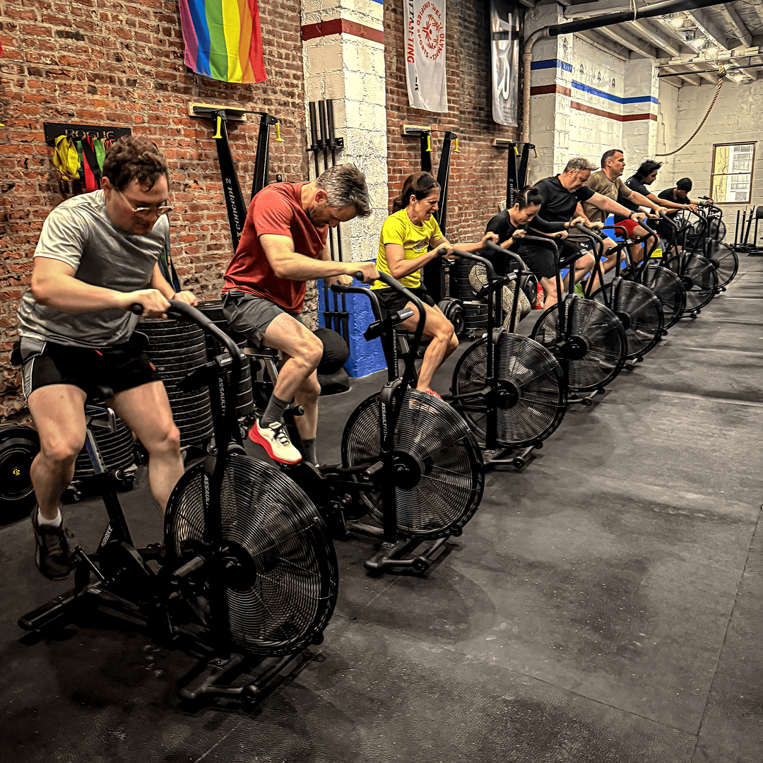 us_Trainers_TheBorough_2