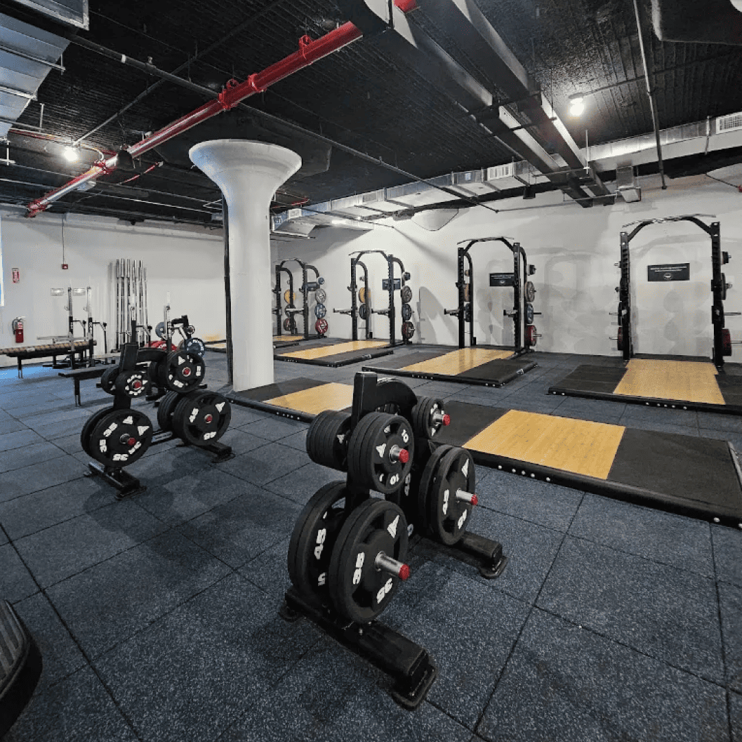 us_Gyms_MurderOfCrowsBrooklyn_0