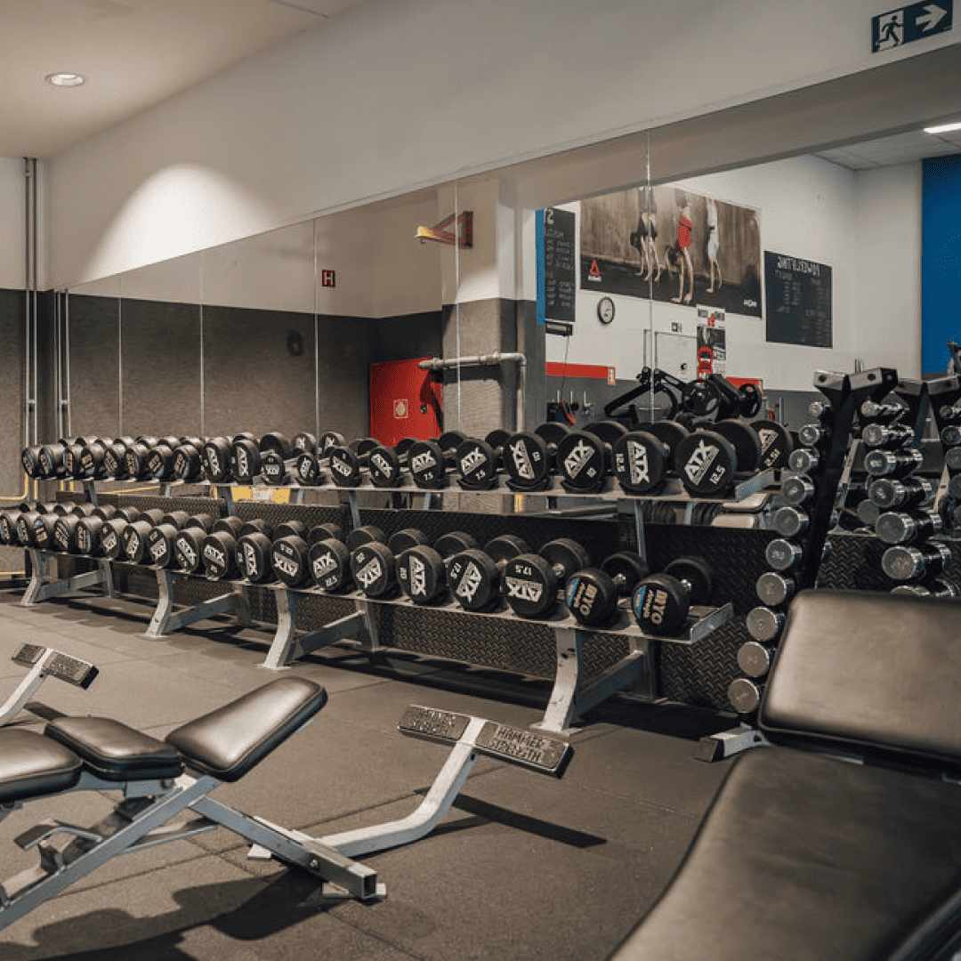 si_Gyms_FitnesKing_3