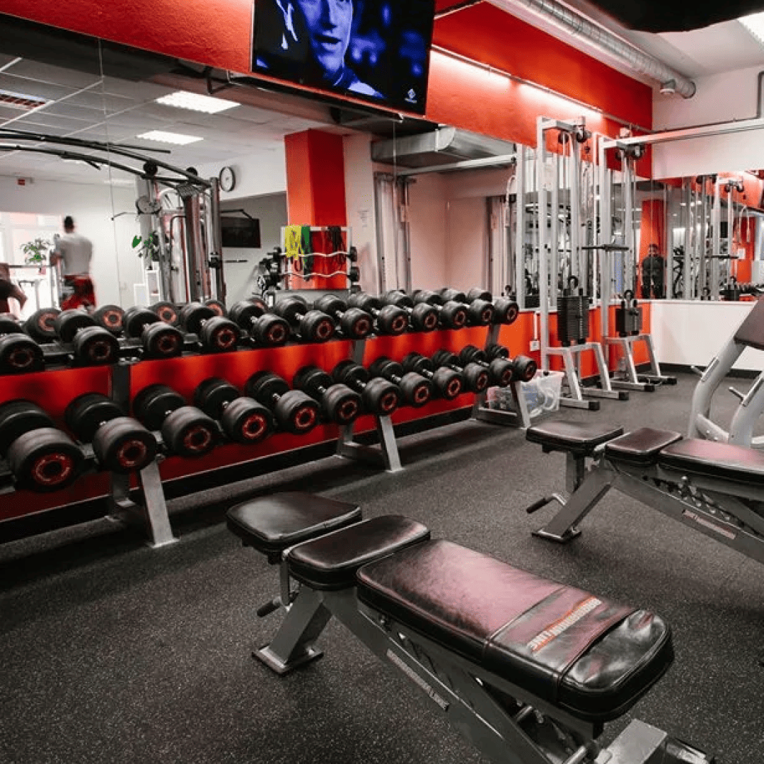 si_Gyms_InvictusFitnes_4