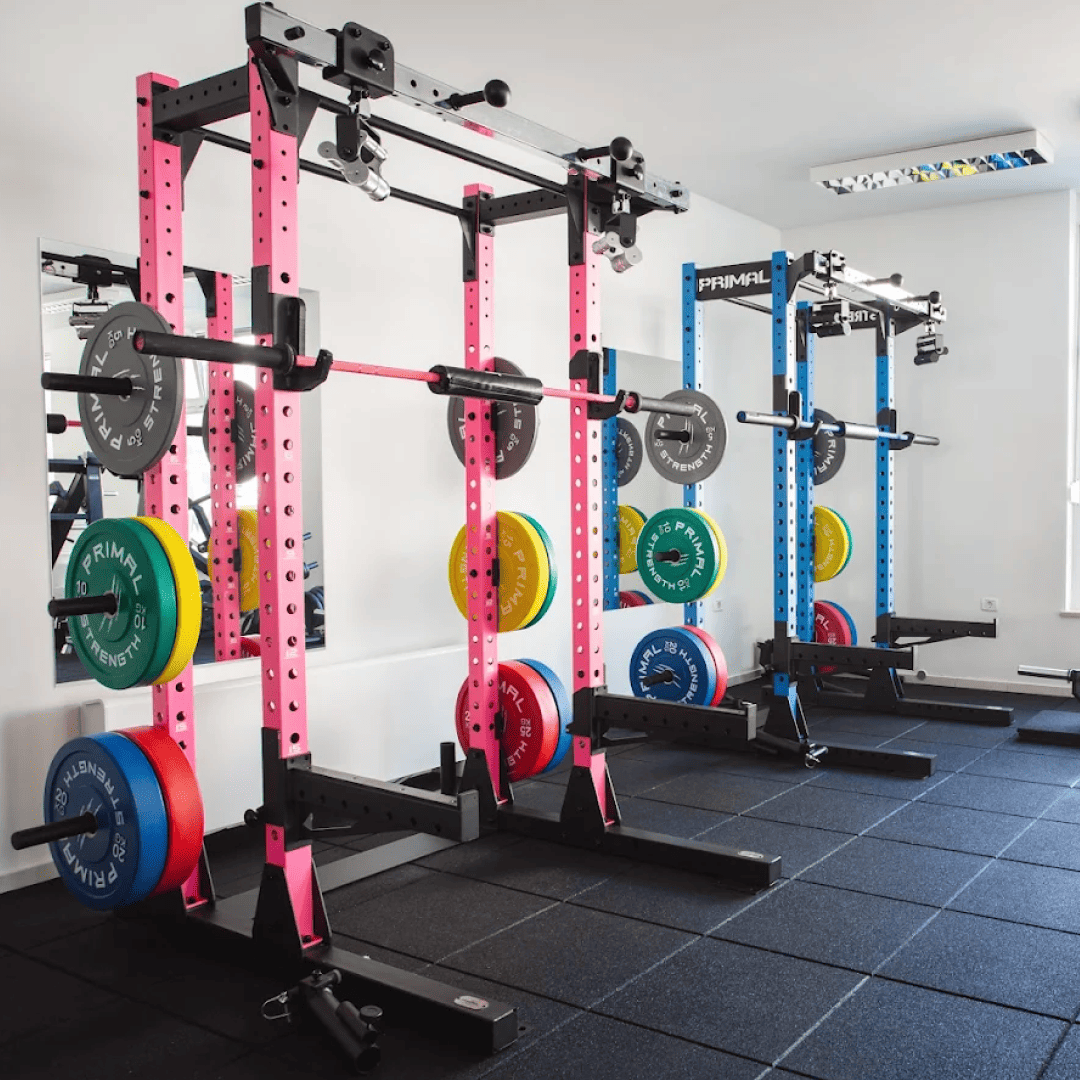 si_Gyms_InvictusFitnes_3