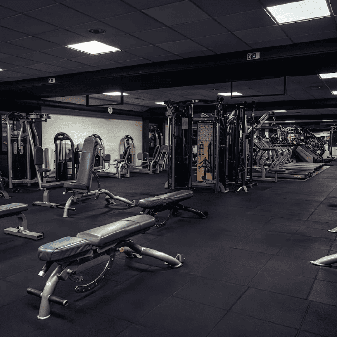 si_Gyms_AlfaGym_1