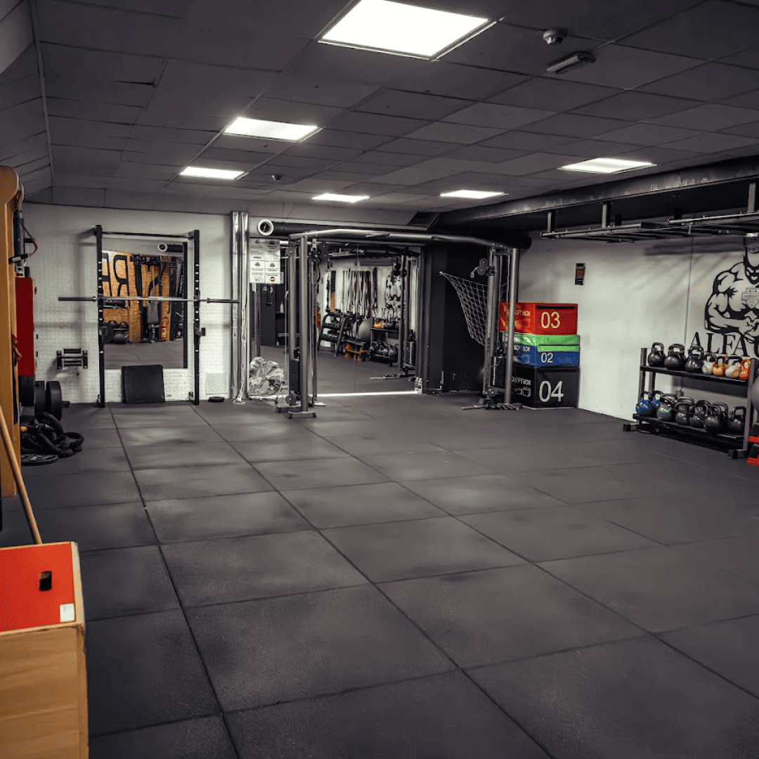 si_Gyms_AlfaGym_6
