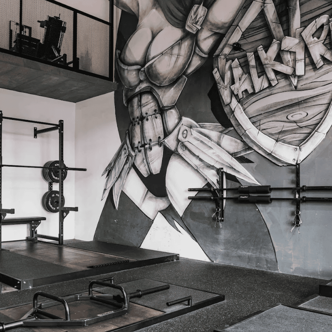 si_Gyms_Valkyrie_4