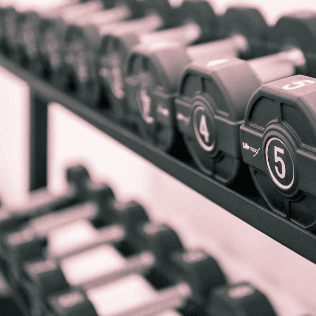 si_Gyms_FitnesRezultat_6