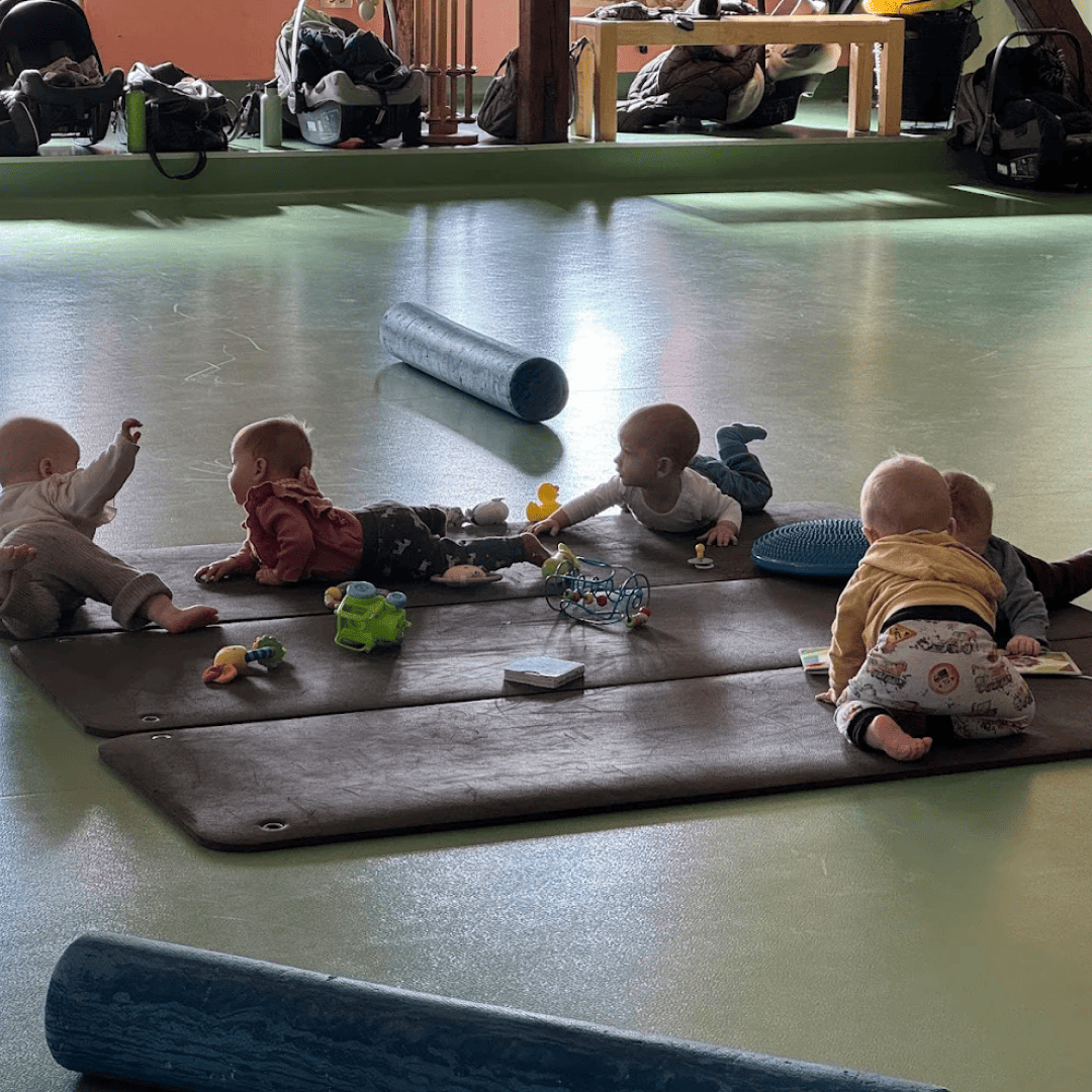 si_Gyms_AktivnoSTjašo_2