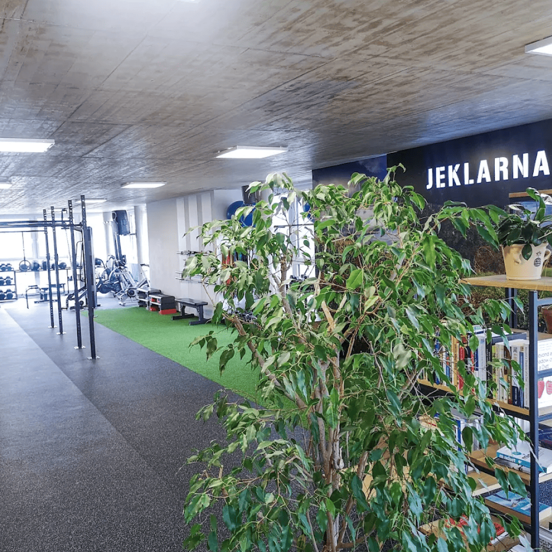 si_Gyms_JeklarnaVrhnika_4