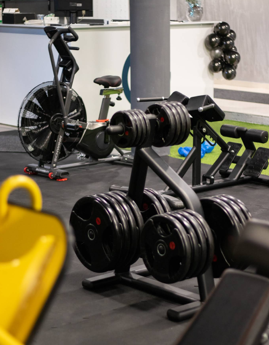 undefined_Gyms_Go2gym_5