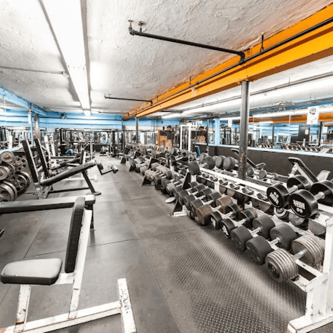 us_Gyms_PowerhouseGymBayside_5