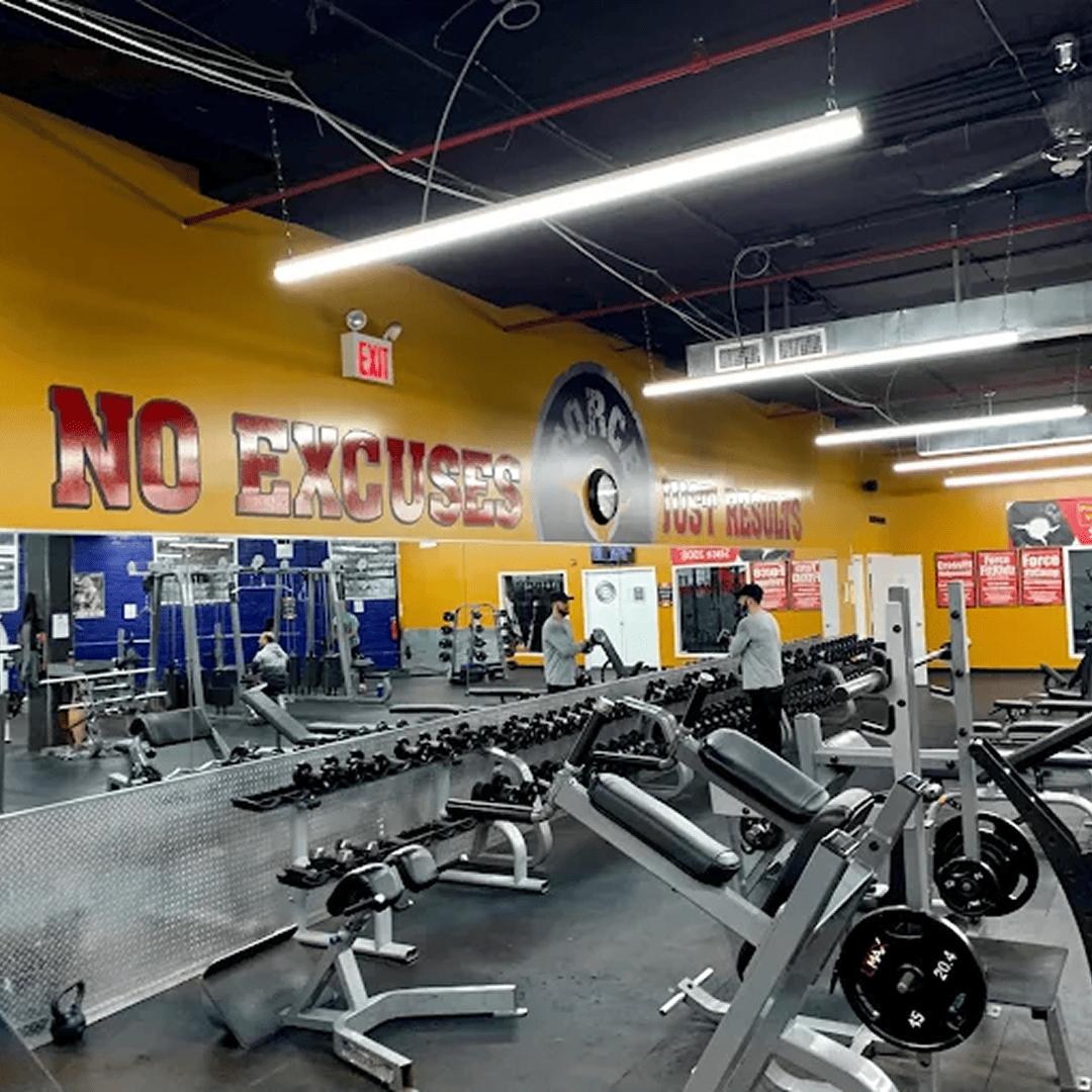 us_Gyms_ForceFitnessClub_4