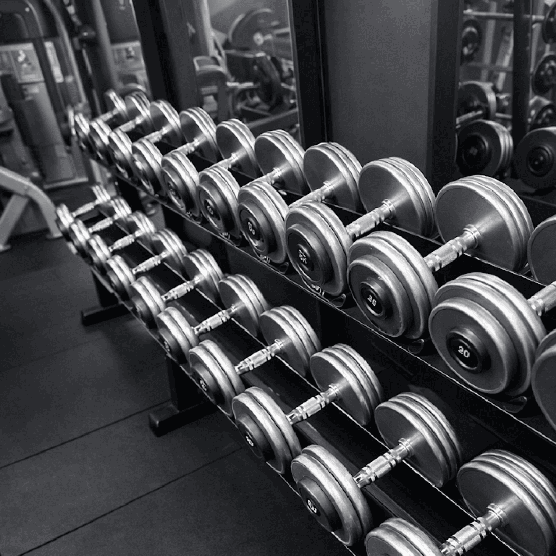 us_Trainers_SessionsGym_2