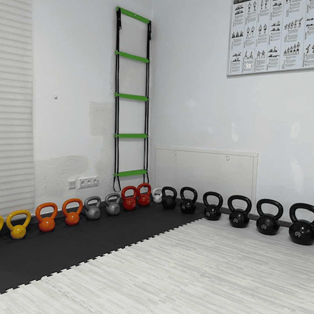 undefined_Trainers_KarinFehlmann_4