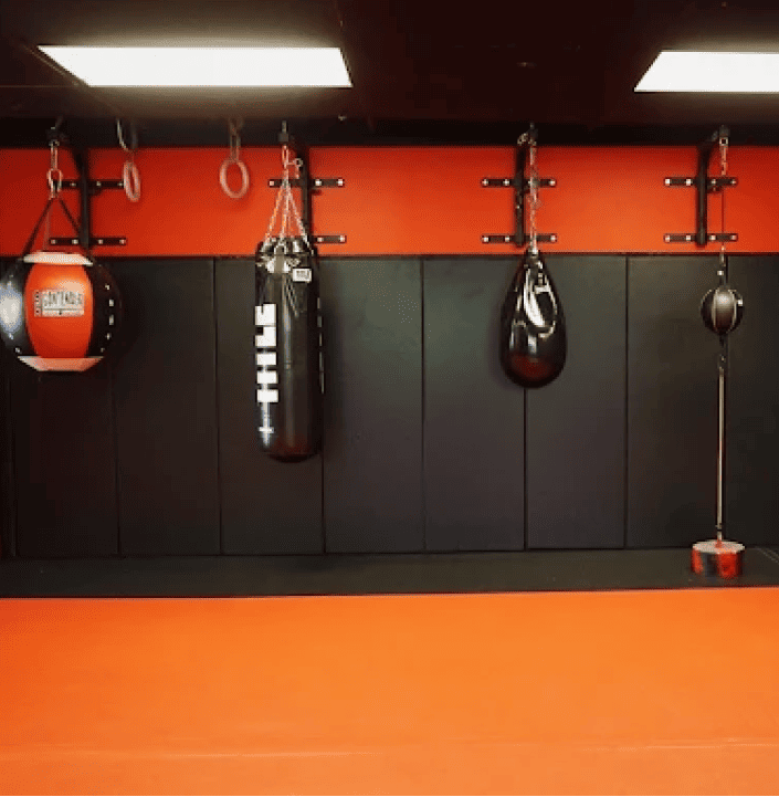 us_Gyms_TeamRealUsa_5