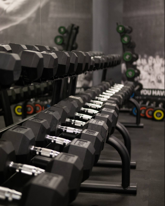 undefined_Gyms_Go2gym_10