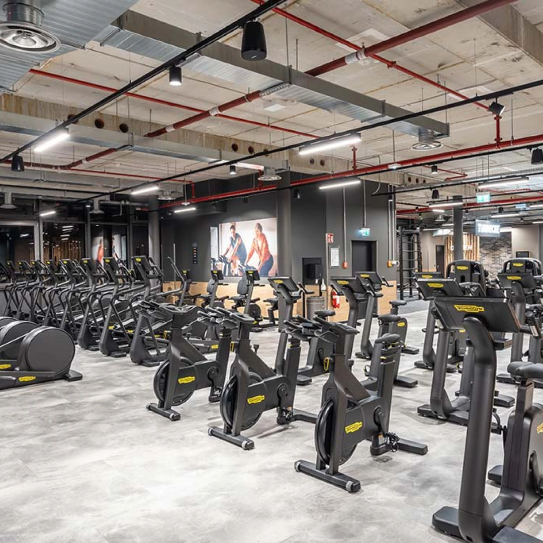 de_Gyms_FitXBerlinTierpark_5