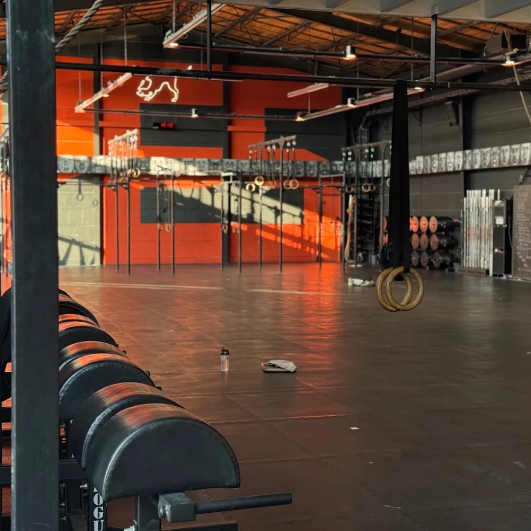 de_Gyms_MyleoCrossFit_1