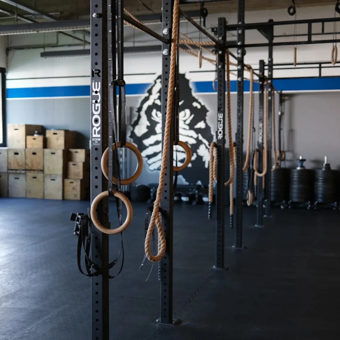 de_Gyms_NoexBerlin_0
