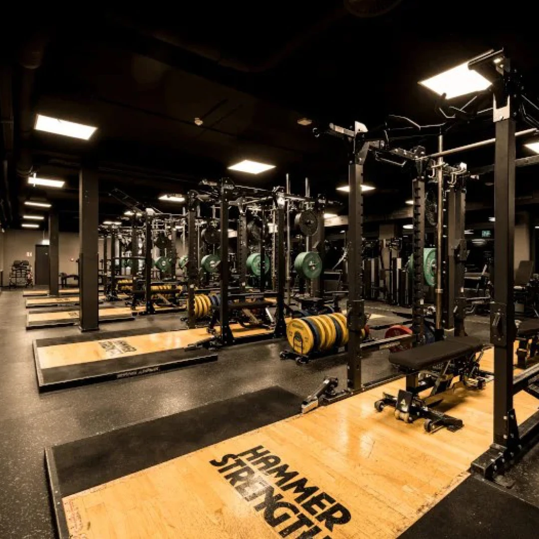 de_Gyms_FitnessFirstHamburgLüneburgerTor_0