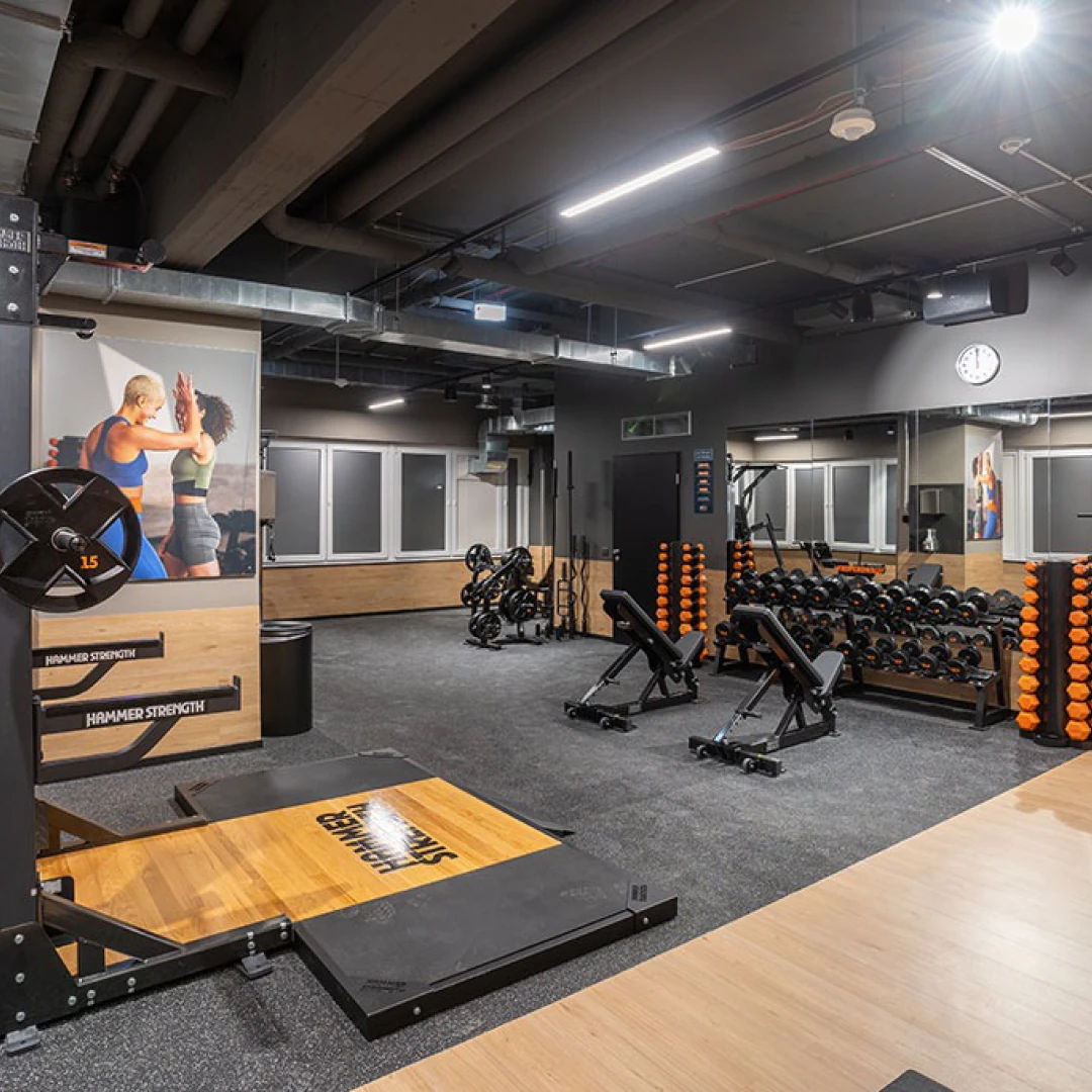 de_Gyms_FitXHamburgAltona_2