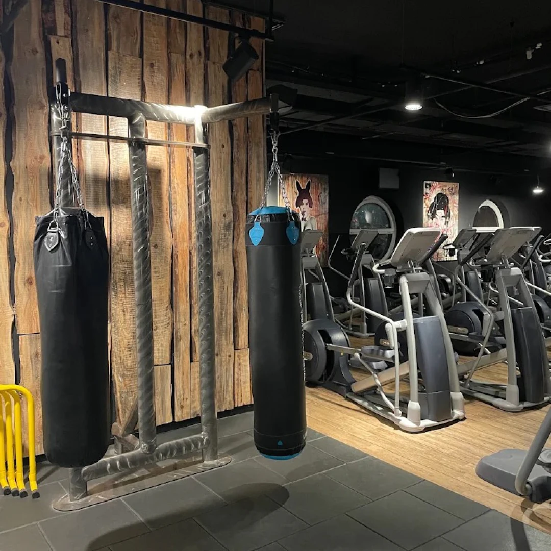 de_Gyms_JohnReedFitnessHamburgHarburg_2