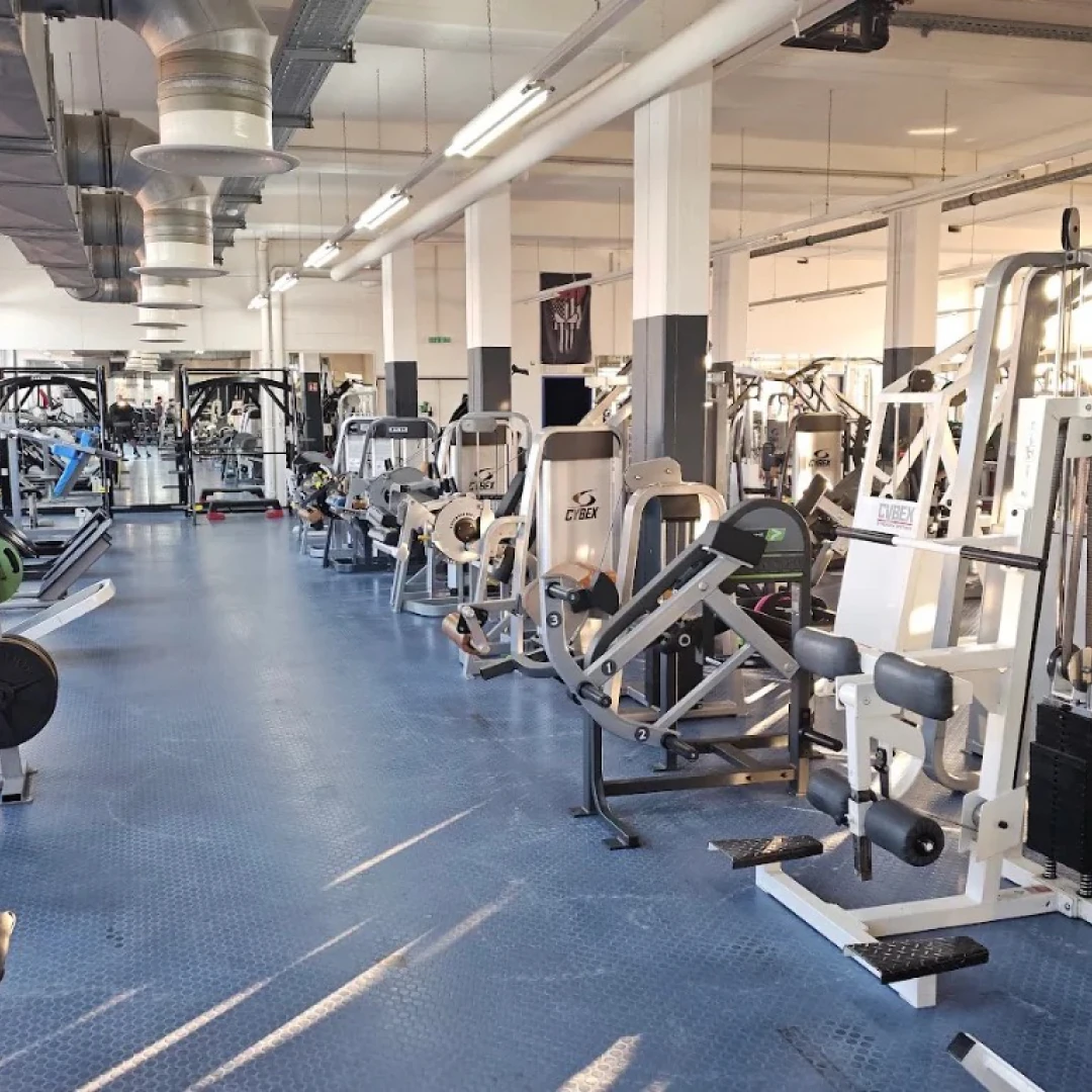 DE_Gyms_LegatumGym_1