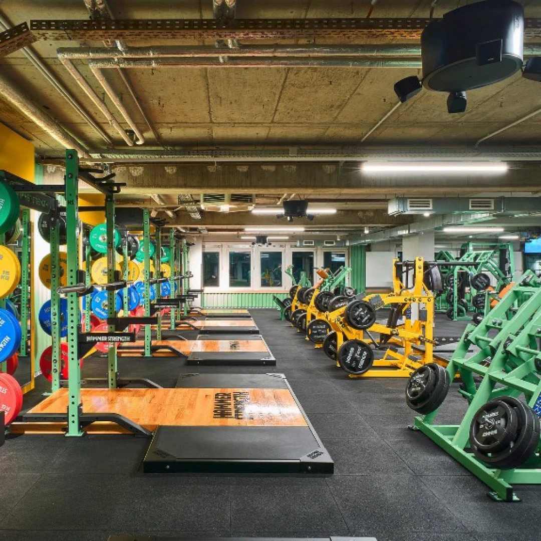 de_Gyms_McFitHamburgHohenfelde_0