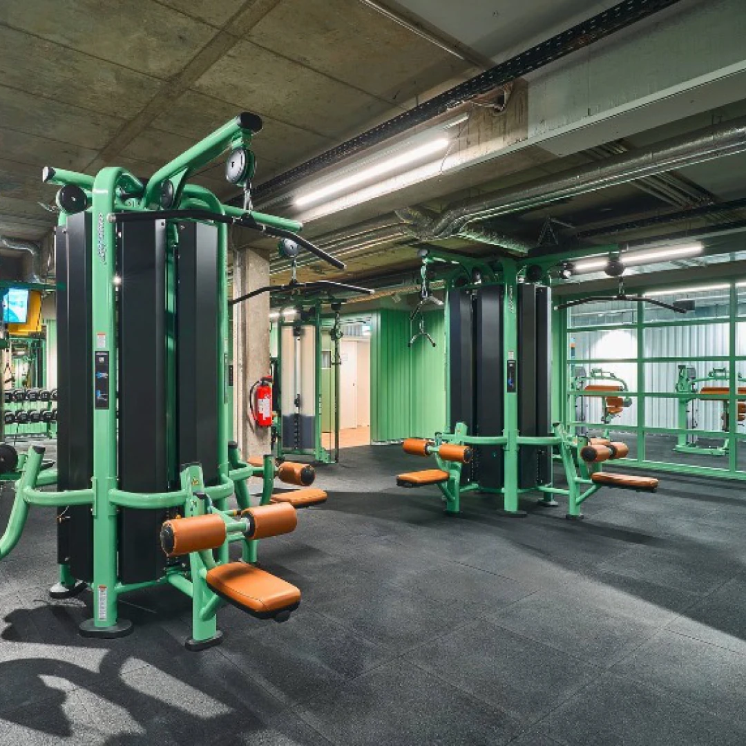 de_Gyms_McFitHamburgHohenfelde_2