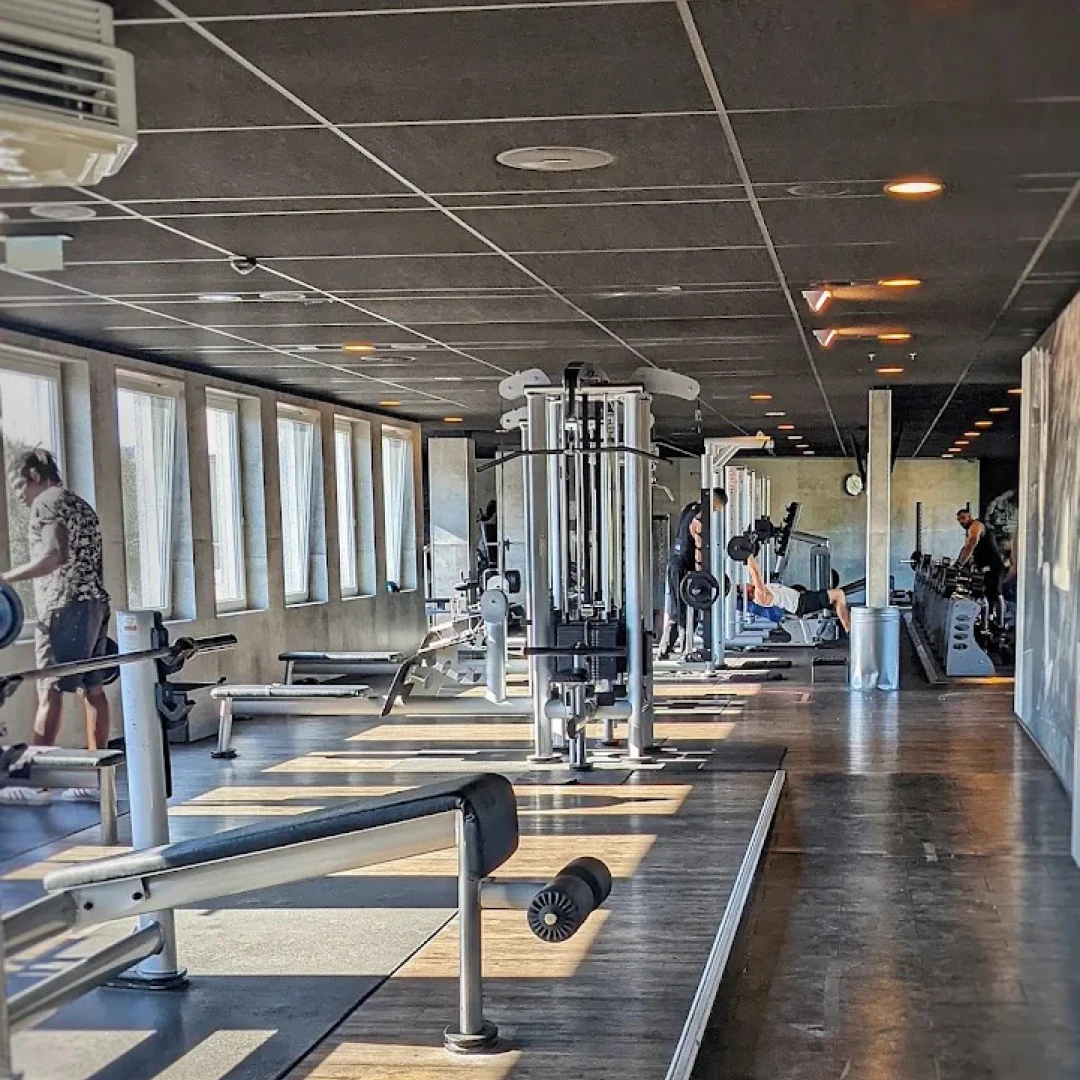 de_Gyms_McFitHamburgStellingen2_0