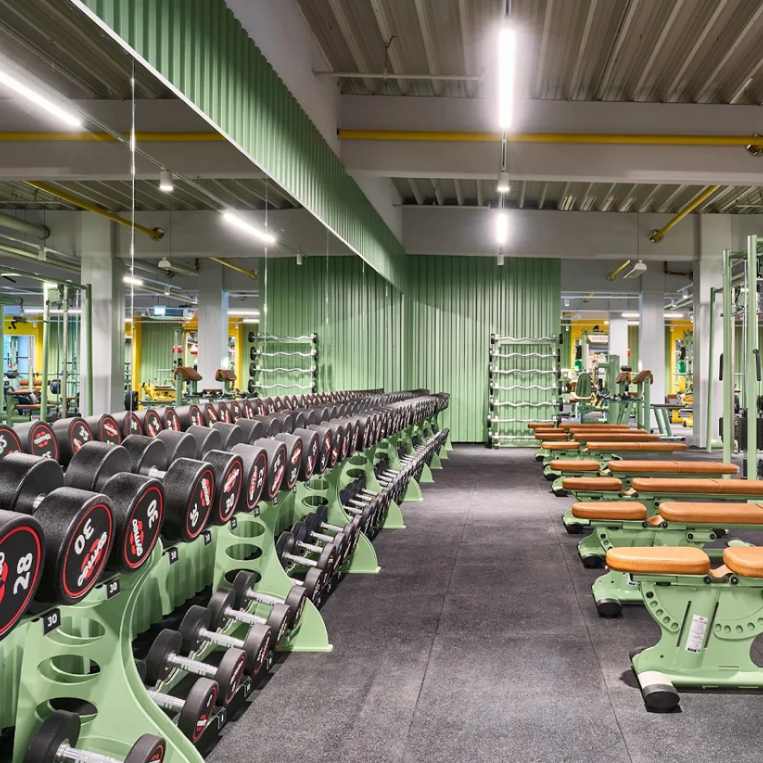 de_Gyms_McFitHamburgStellingen_0