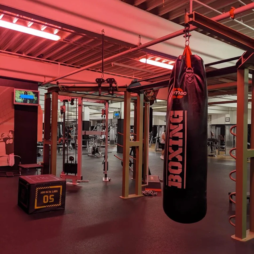 de_Gyms_McFitHamburgStellingen_1