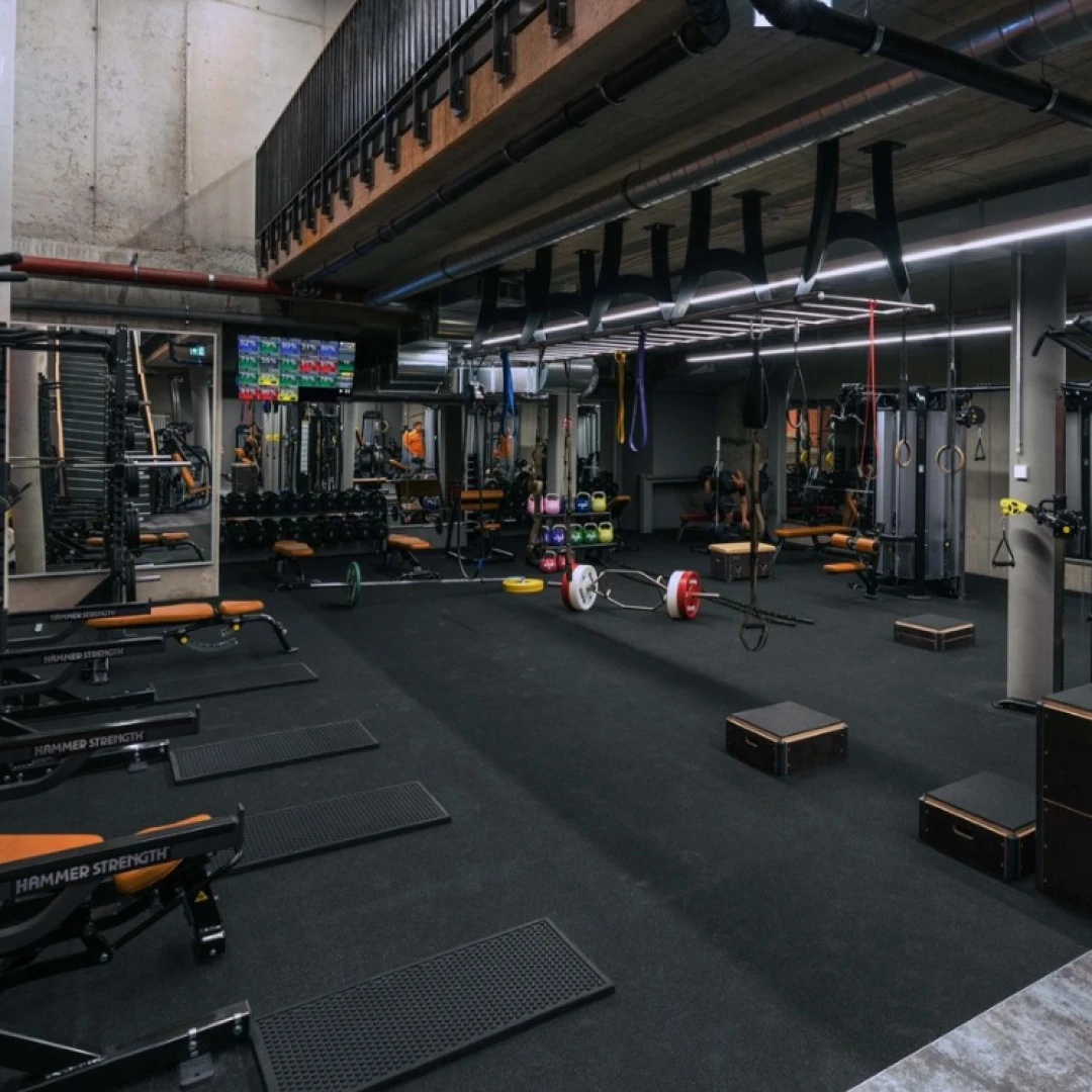DE_Gyms_PrimeTimeFitnessHamburgHafencity_1