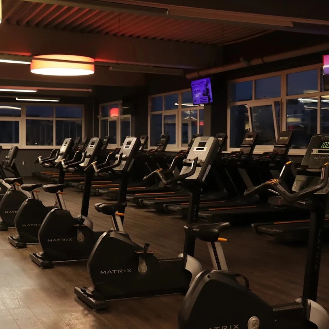 de_Gyms_WellyouHamburgBergedorf_5