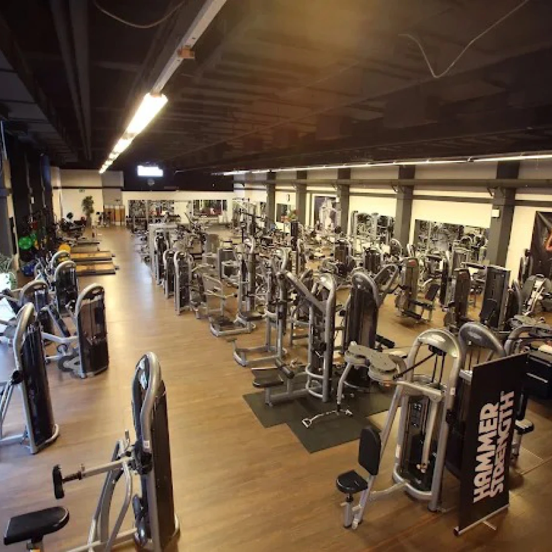 DE_Gyms_ArtOfFitnessKölnEhrenfeld_1