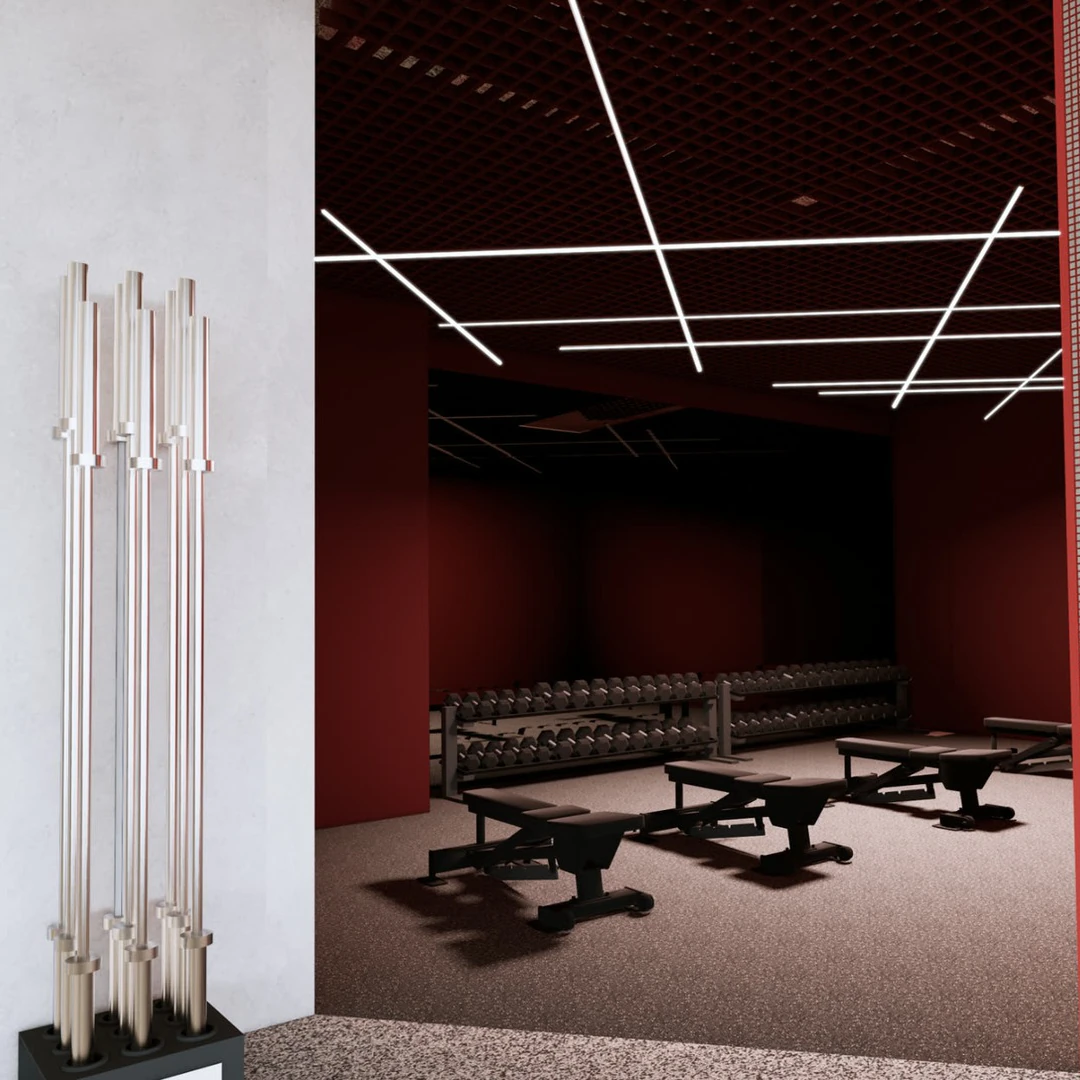 de_Gyms_AthleticaGym_1