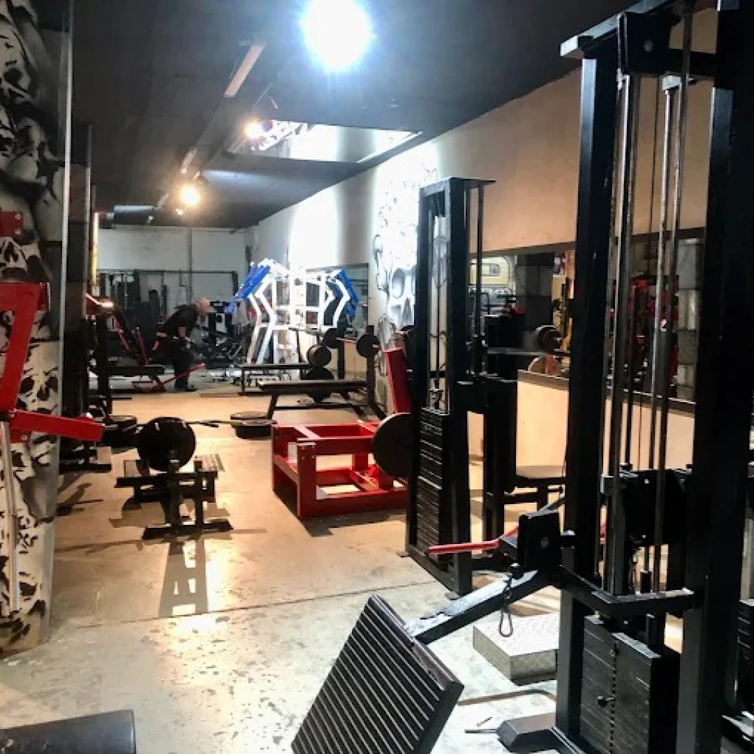 de_Gyms_MuscleGymCologne_0