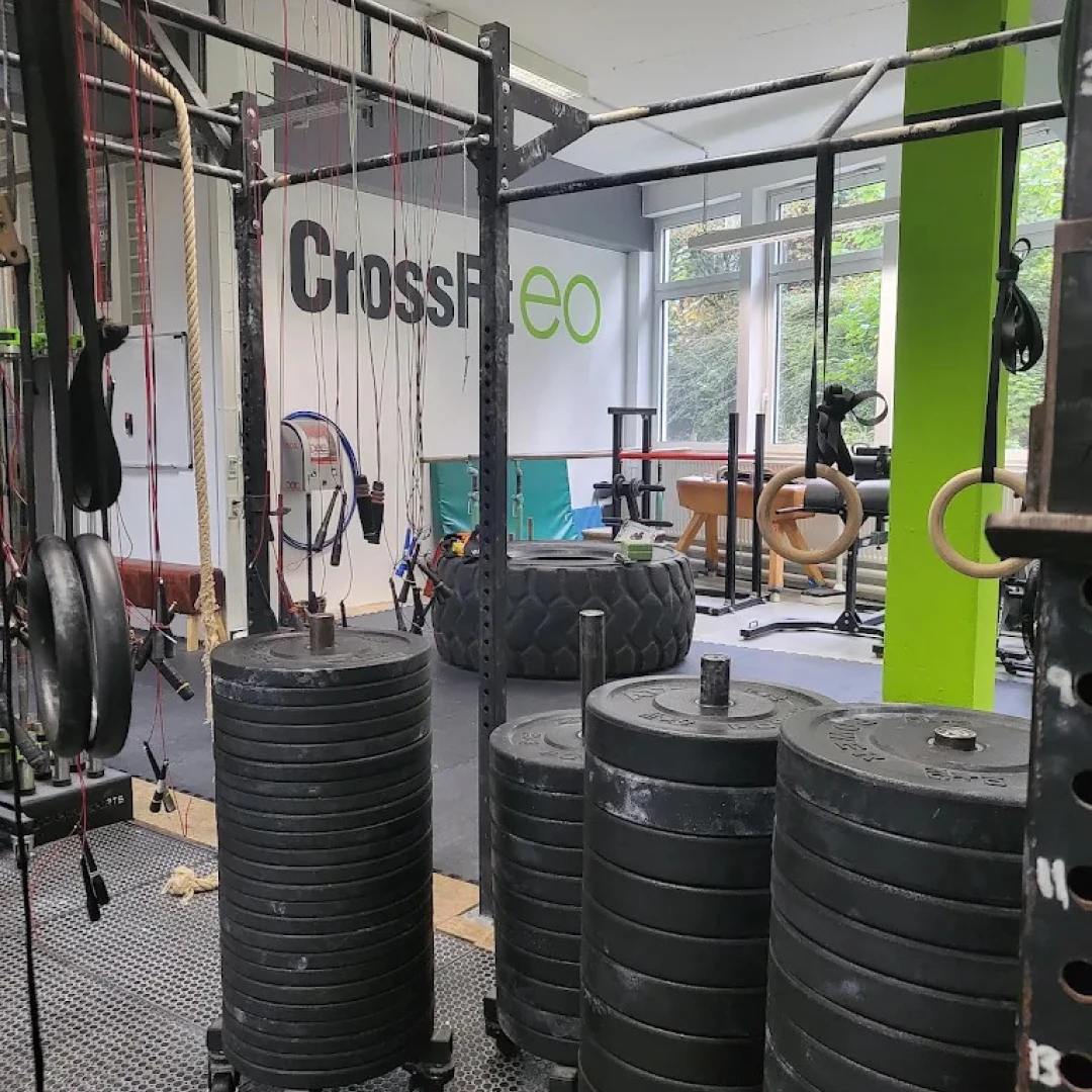 de_Gyms_EoGym_1
