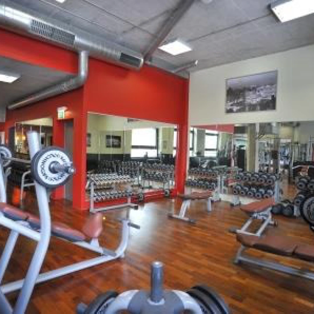 de_Gyms_Munichgym_0