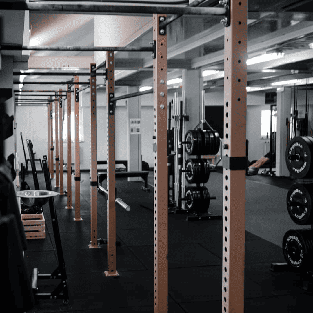 SI_Gyms_EvolucijaGym_1