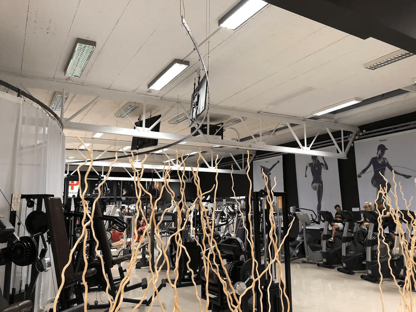 SI_Gyms_4pFitnessClubNovoMesto_1
