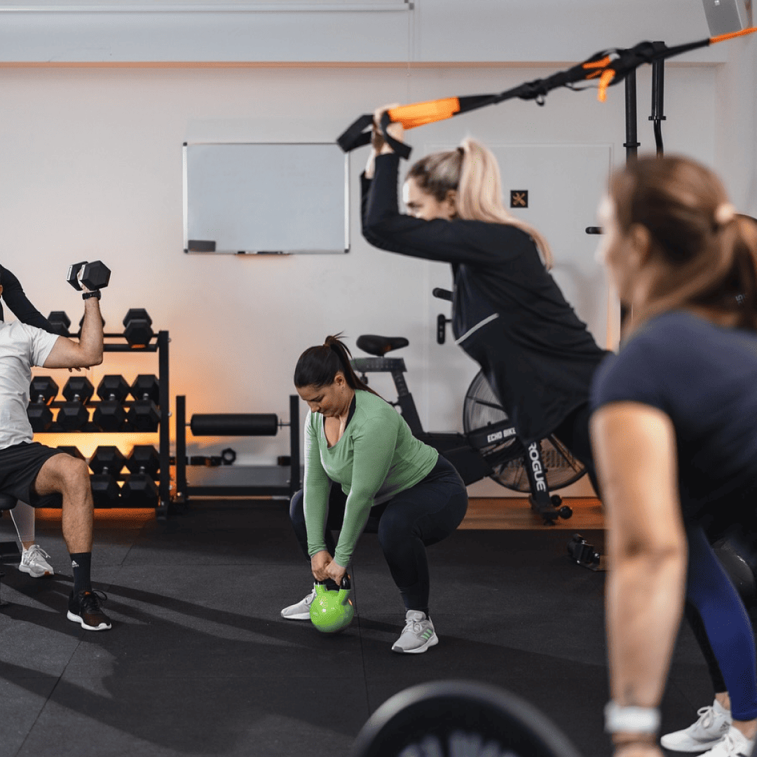 SI_Gyms_TheraGym_1