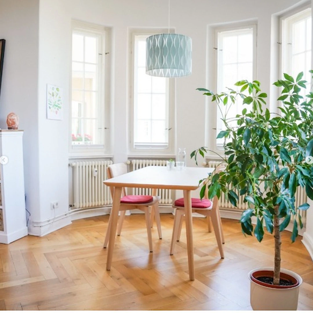 de_Nutritionists_ErnährungsberatungHirsch_1