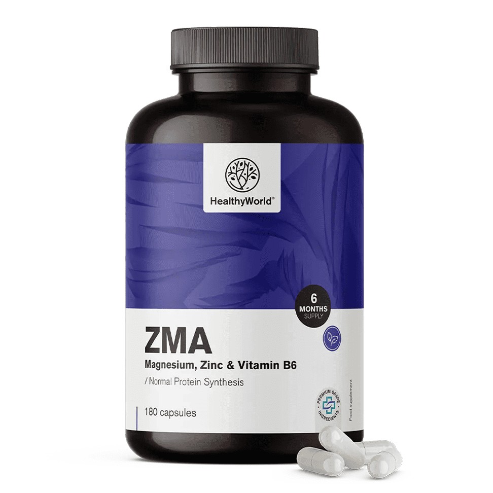 ZMA – Magnesium, Zink und B6