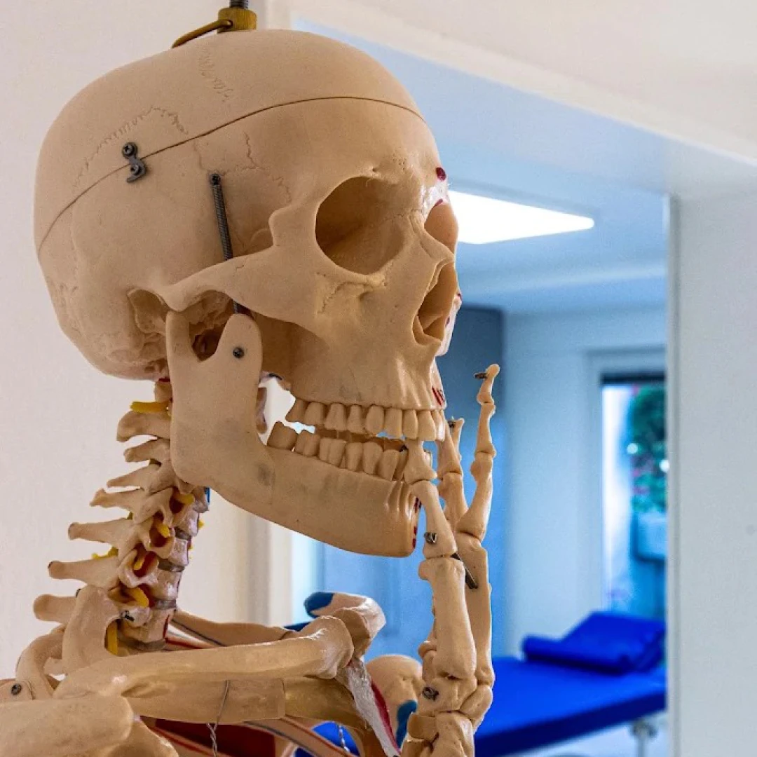 de_Therapists_PhysioBasis_4